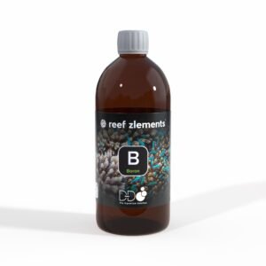 Reef Zlements Boron