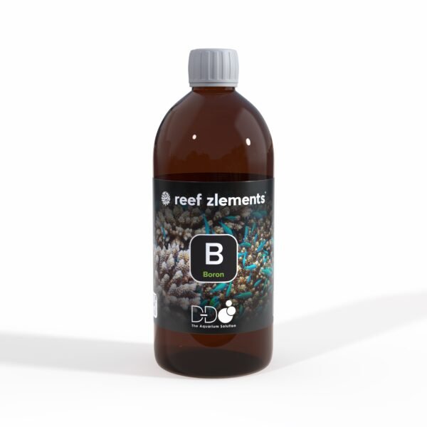 Reef Zlements Boron