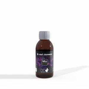 Reef Zlements Molybdenum